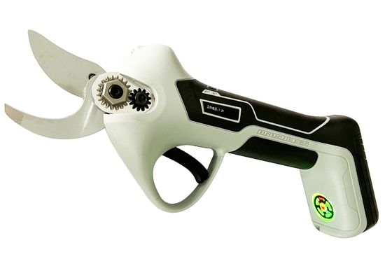 コードレス電気Prunerは庭の木のPruner 20Vのリチウム枝Prunerを切る