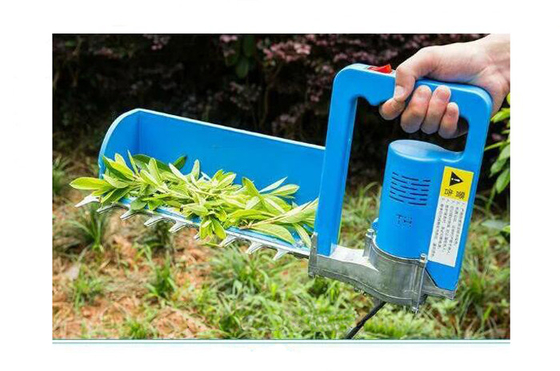 24V 200Wを摘み取るブラシレス電気茶盗品機械独身者の茶